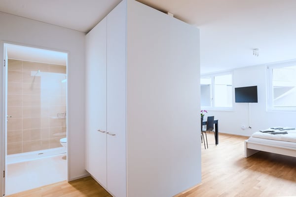 Modernes 2.5-Zimmer-Studio in Basel 8