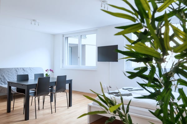 Modernes 2.5-Zimmer-Studio in Basel 3