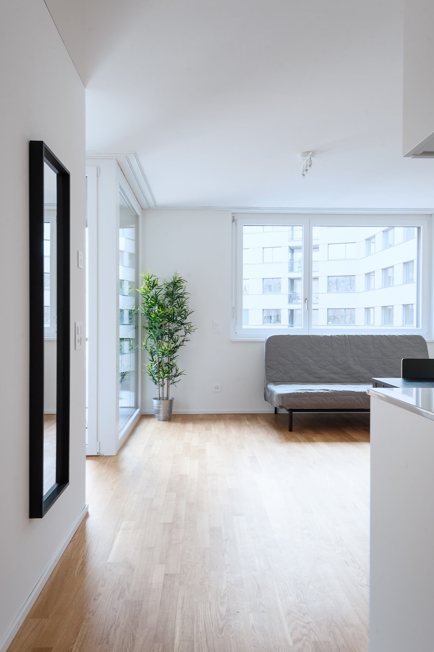 Spacious living room with large windows, hardwood floors, and a potted plant. The room features a gray sofa and a minimalist design.