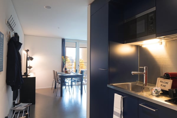 Moderne, möblierte 1-Zimmer-Wohnung mit Balkon in Luzern 4