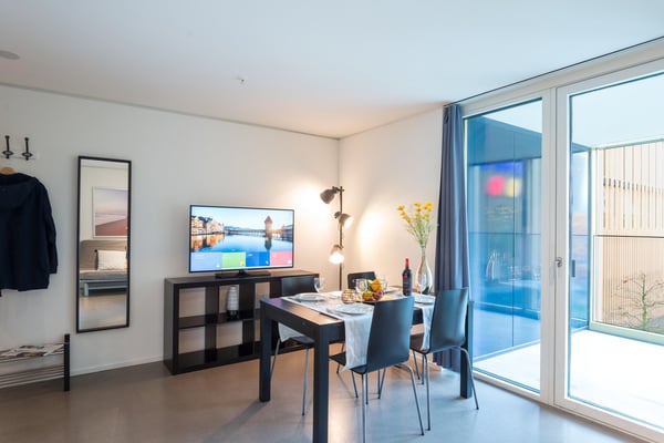 Moderne, möblierte 1-Zimmer-Wohnung mit Balkon in Luzern 8