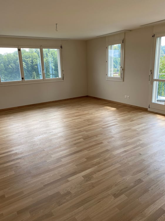 4 1/2 Zimmerwohung, 110 m2,  CHF 1'850 plus  CHF 250.00 Nebenkosten 6
