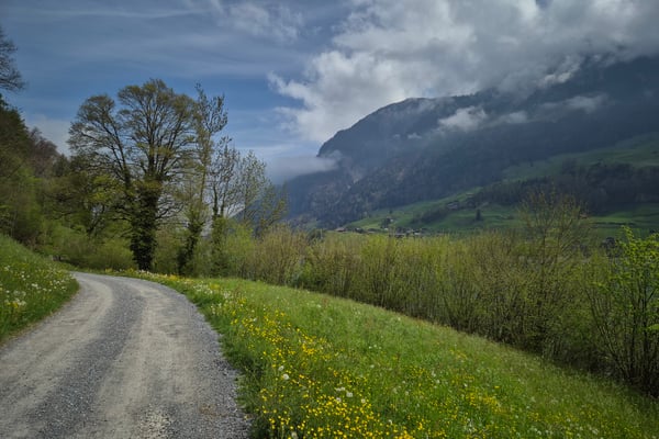 Neubau an zentraler Lage 5