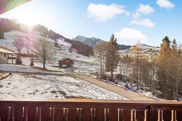 Winterzauber Dachwohnung Wirzweli 10