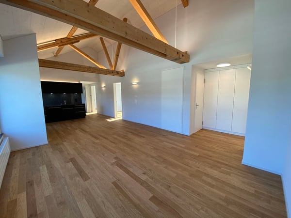 Diese Wohnung macht Sie sprachlos - Traumhafte Attika mit Panoramablick in Luzern 6