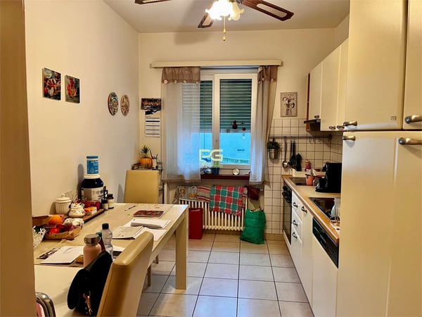 Appartamento 3.5 locali con giardino 5