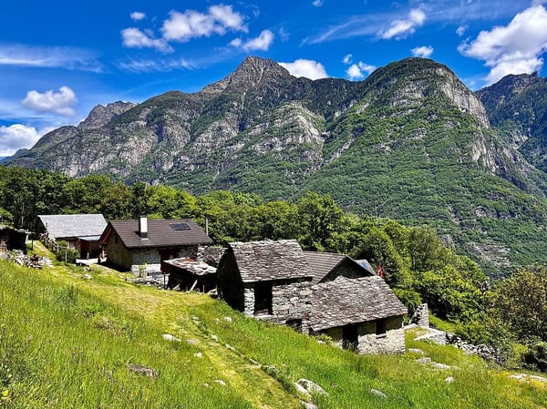 Monti di Lodrino - rustico in vendita 4