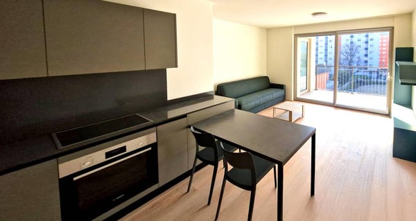 Appartamento - Chiasso 2