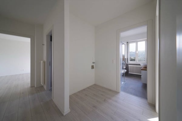 Appartamento - Chiasso 5