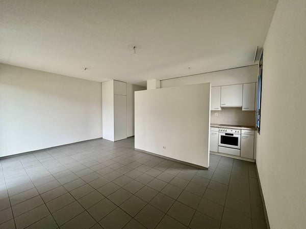 Appartamento - Chiasso 1