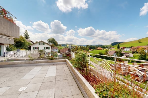 Grosszügige Wohnung mit grosser Terrasse 3