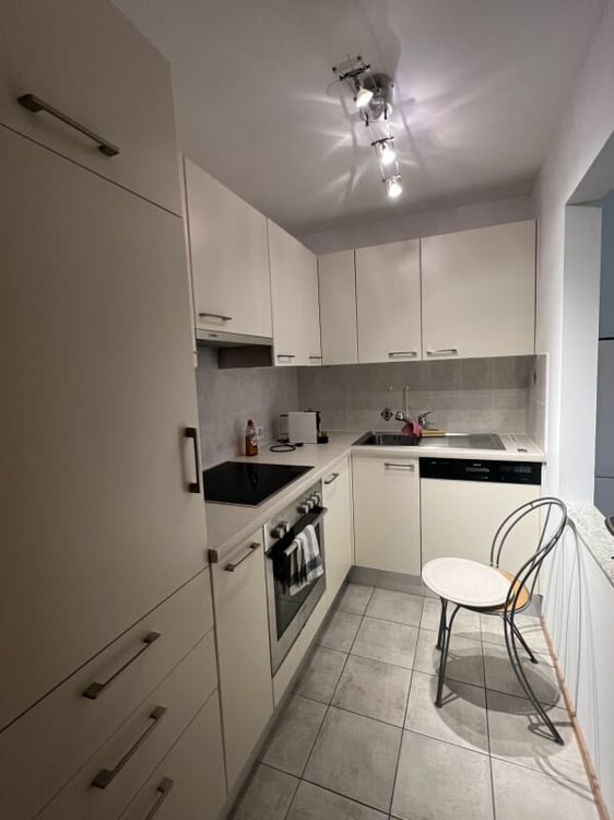 Grazioso 2.5 locale Collina d'Oro 5