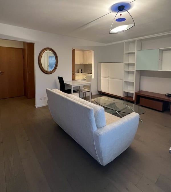 Grazioso 2.5 locale Collina d'Oro 3