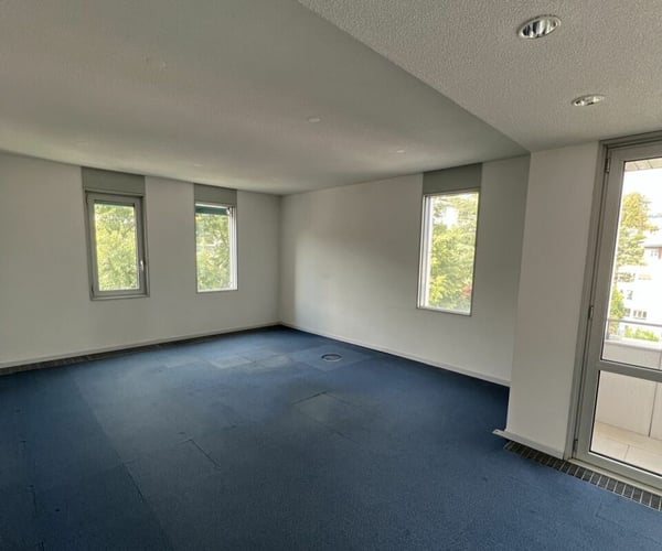 Ufficio Attico di rappresentanza vista lago e città Lugano. 4