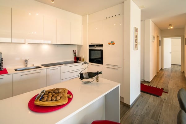 Esclusivo 1.5 locali con spaziosa terrazza Locarno 4