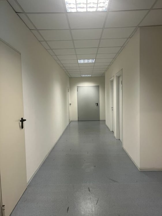 Spazi amministrativi-commerciali di reddito Mendrisio 5