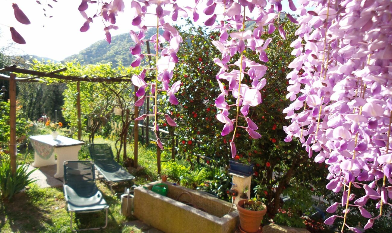 Bed & Breakfast - Immobile con terreno