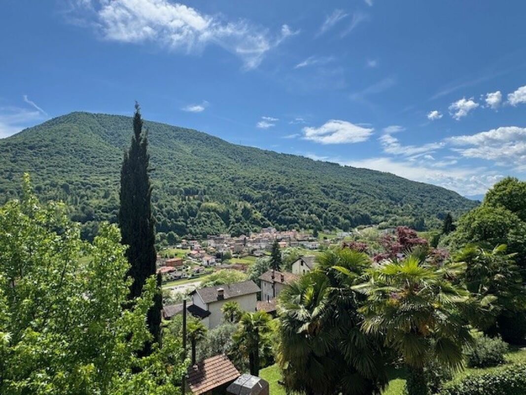 Bed & Breakfast - Immobile con terreno