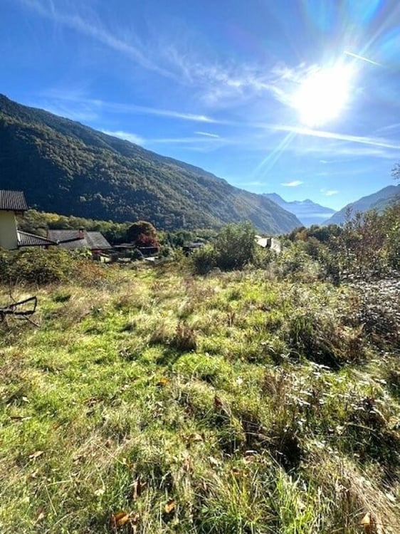 Splendido terreno edificabile immerso nel verde 3