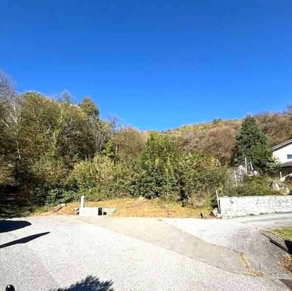 Splendido terreno edificabile immerso nel verde 2