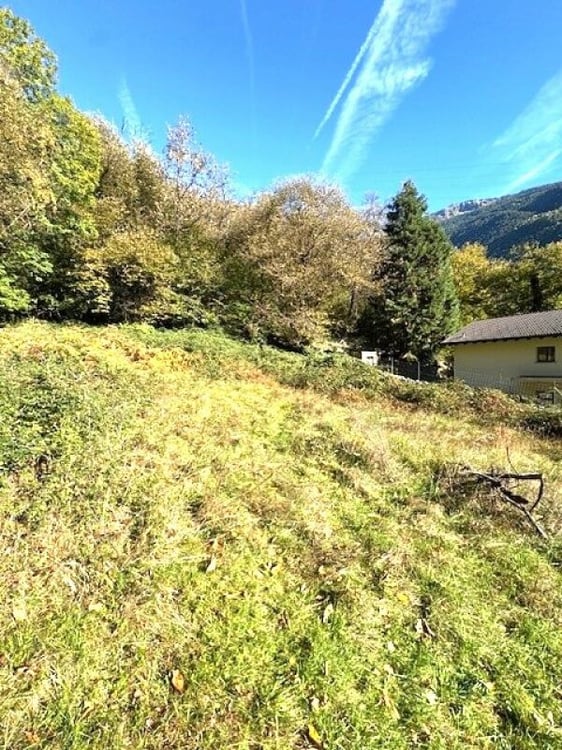 Splendido terreno edificabile immerso nel verde 4