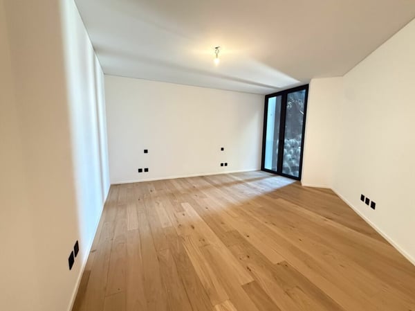 2.5 locali a Paradiso - nuova costruzione 9