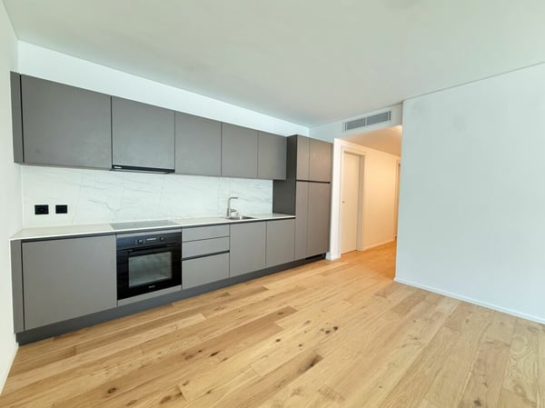 2.5 locali a Paradiso - nuova costruzione 4