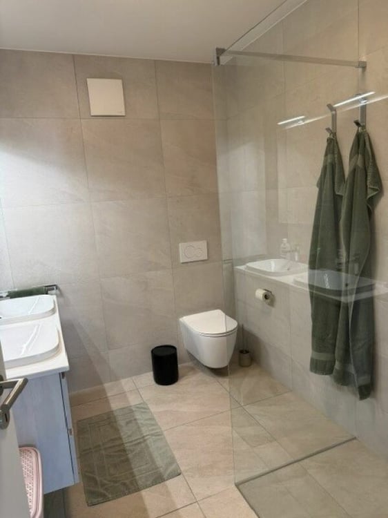 Ampio e moderno 2.5 locali a San Vittore 5