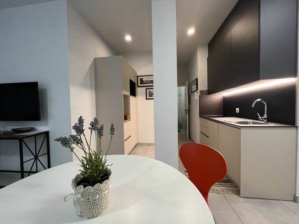 Monolocale arredato Lugano 7