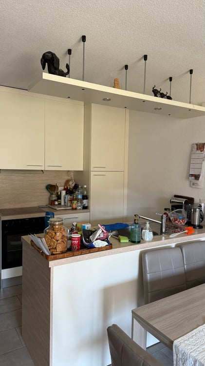 PONTE CAPRIASCA - AFFITTASI APPARTAMENTO DI 1.5 LOCALI CON GIARDINO 3