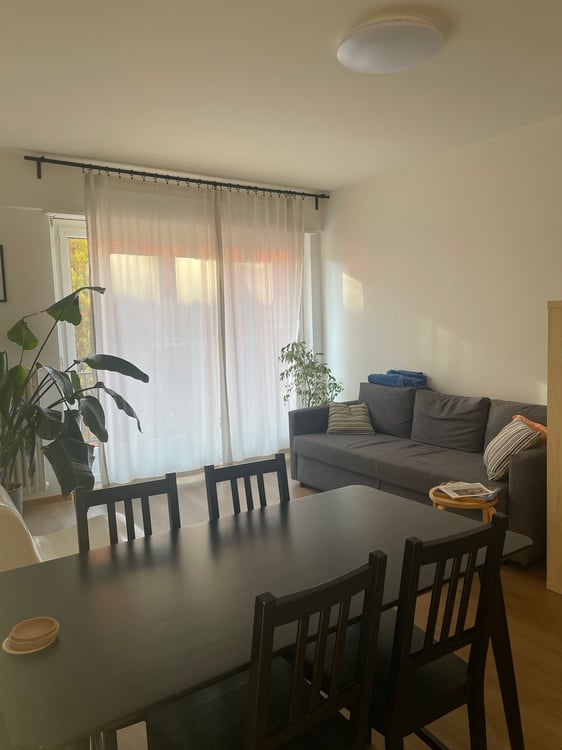 MENDRISIO - AFFITTASI APPARTAMENTO DI 1.5 LOCALI 1