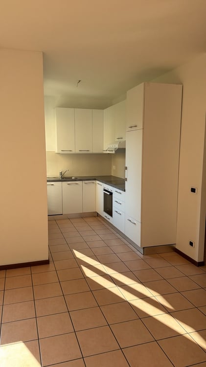 LUGANO - AFFITTASI APPARTAMENTO DI 3.5 LOCALI 4