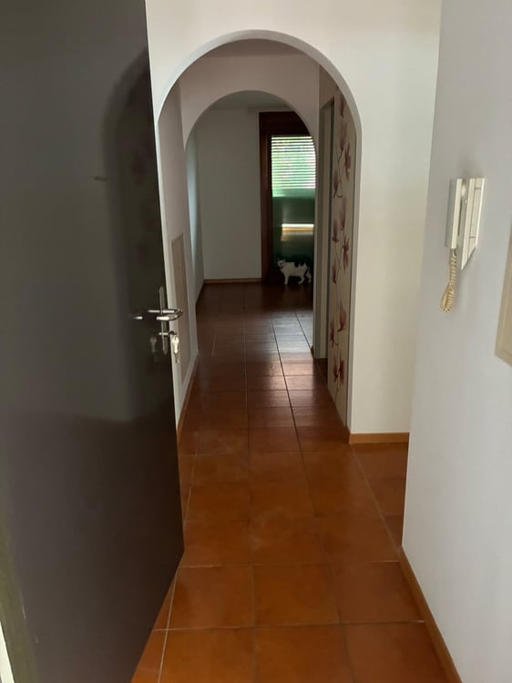 PONTE CAPRIASCA - AFFITTASI APPARTAMENTO DI 2.5 LOCALI 2