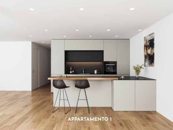 Generoso 1.5 locali con grande terrazza in zona tranquilla 1