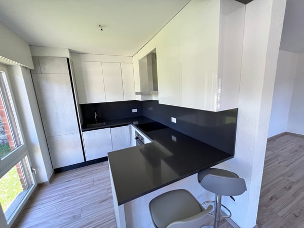 Eleganza e luminosità in posizione privilegiata – Lugano, Pazzallo- A REDDITO 20