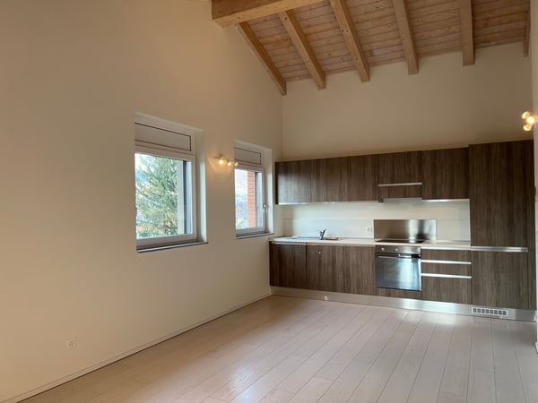 Moderno attico con tetto a vista in vendita a Cadro - POSTO AUTO 4