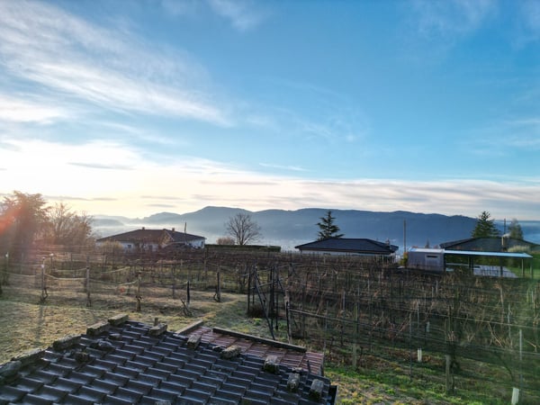 TERRENO EDIFICABILE A CASTEL SAN PIETRO CON PROGETTO APPROVATO – IL TUO SOGNO DI CASA MODERNA 1