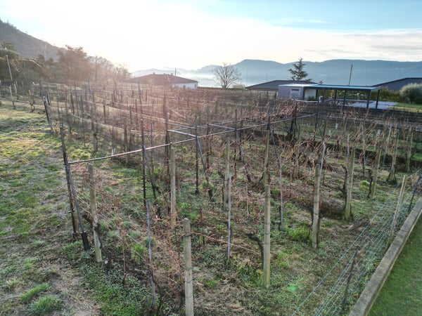 TERRENO EDIFICABILE A CASTEL SAN PIETRO CON PROGETTO APPROVATO – IL TUO SOGNO DI CASA MODERNA 2