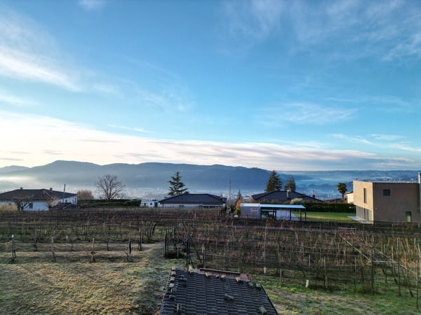 TERRENO EDIFICABILE A CASTEL SAN PIETRO CON PROGETTO APPROVATO – IL TUO SOGNO DI CASA MODERNA 8