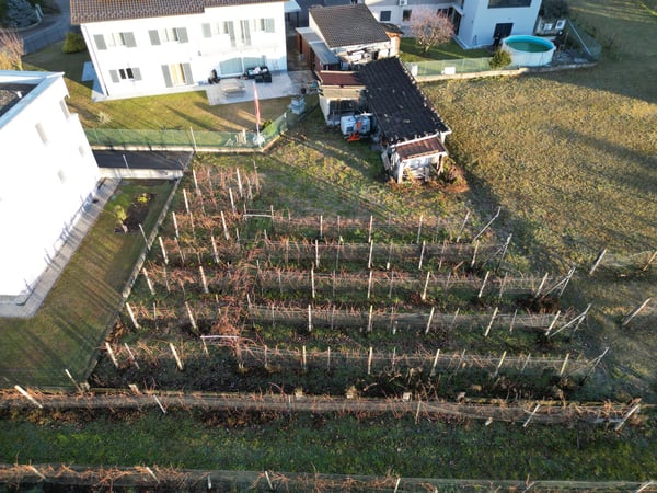 TERRENO EDIFICABILE A CASTEL SAN PIETRO CON PROGETTO APPROVATO – IL TUO SOGNO DI CASA MODERNA 4