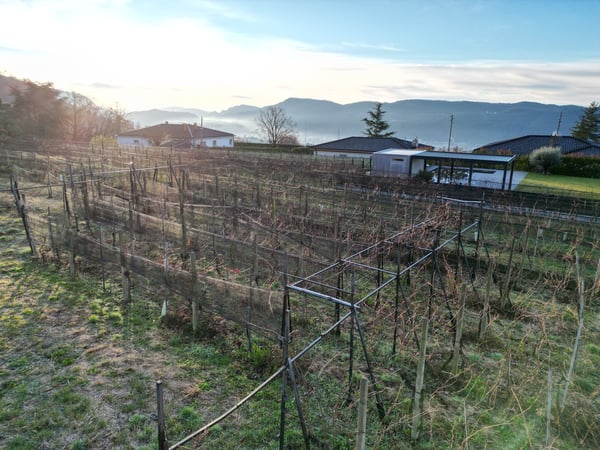 TERRENO EDIFICABILE A CASTEL SAN PIETRO CON PROGETTO APPROVATO – IL TUO SOGNO DI CASA MODERNA 9