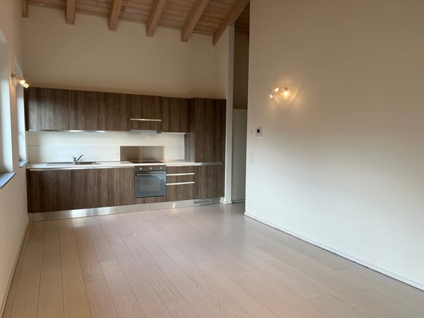 Moderno attico con tetto a vista a Cadro - POSTO AUTO 1