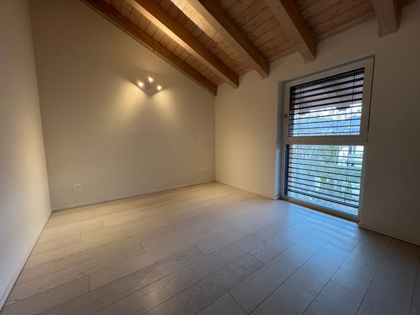 Moderno attico con tetto a vista a Cadro - POSTO AUTO 3