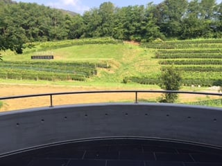 SIGNORILE PALAZZINA UFFICI / LABORATORIO DI 1'800 MQ. CON TERRENO DI 2'800 MQ. 3