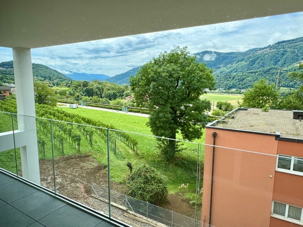 NUOVO E AMPIO APPARTAMENTO 1.5 LOCALI CON TERRAZZO 11