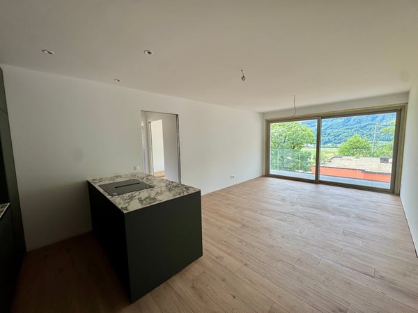 NUOVO E AMPIO APPARTAMENTO 1.5 LOCALI CON TERRAZZO 14