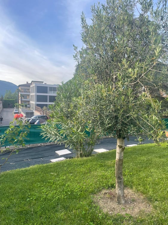 Una villa liberty in centro a Mendrisio con giardino box doppio più posti auto 20