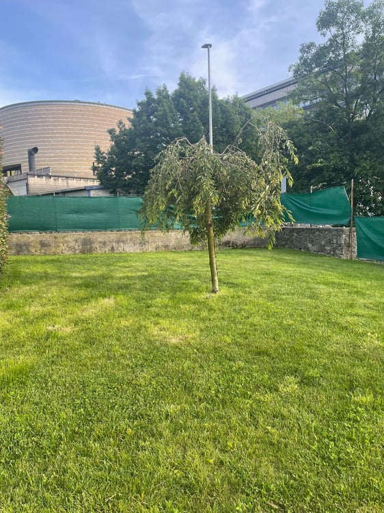 Una villa liberty in centro a Mendrisio con giardino box doppio più posti auto 21