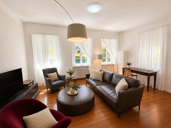 NUOVO POSIZIONAMENTO SUL MERCATO - Villa indipendente d’epoca con giardino nel centro di Mendrisio 5