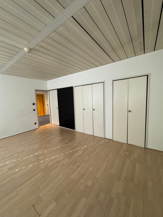 PALAZZINA DI UFFICI A REDDITO POSSIBILE ACQUISTO PER CITTADINI STRANIERI NON RESIDENTI IN SVIZZERA 23